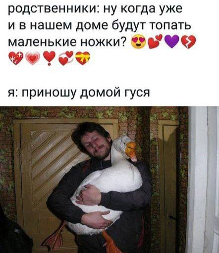 родственники: ну когда уже и внашем доме будут топать маленькие ножки? 67 я: приношу домой гуся a