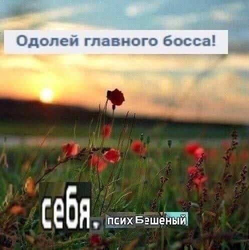Одолей главного босса! псих