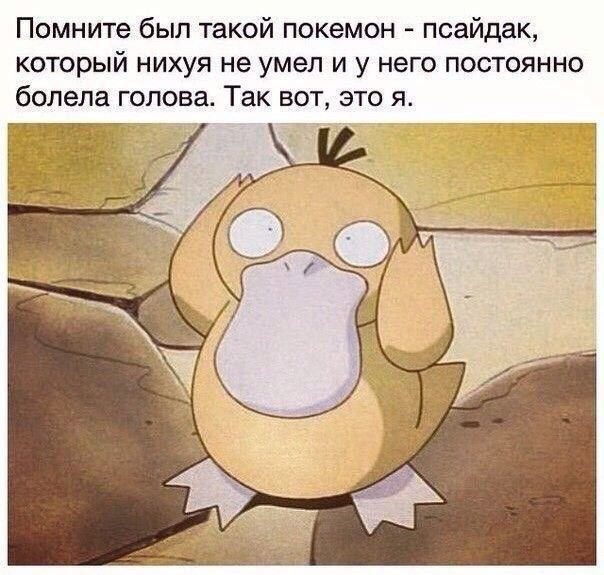Помните был такой покемон псайдак, который нихуя не умел и у него постоянно болела голова. Так вот, это я. a