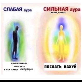 СЛАБАЯ аура СИЛЬНАЯ аура ПОСЛАТЬ НАХУЙ смыся