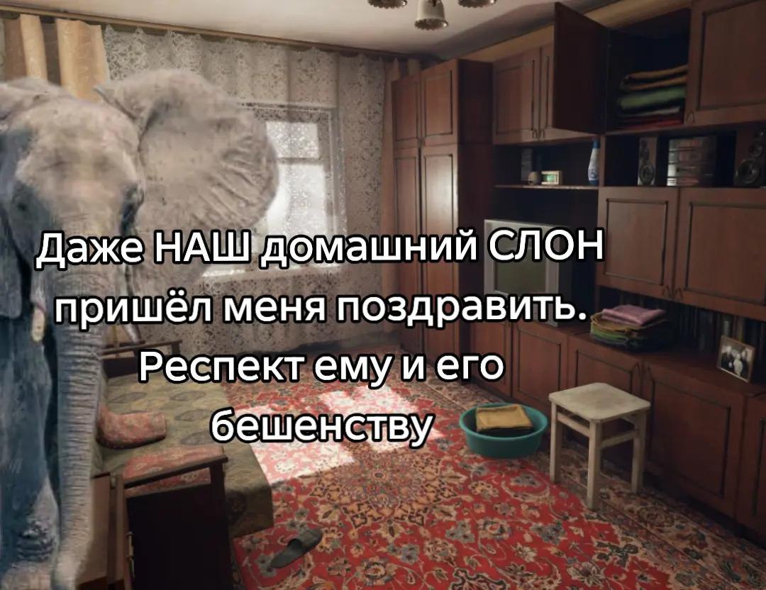 „А. Даже домашний СЛОН пришёл меня поздравить Респект емуиего