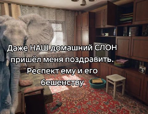 „А. Даже домашний СЛОН пришёл меня поздравить Респект емуиего