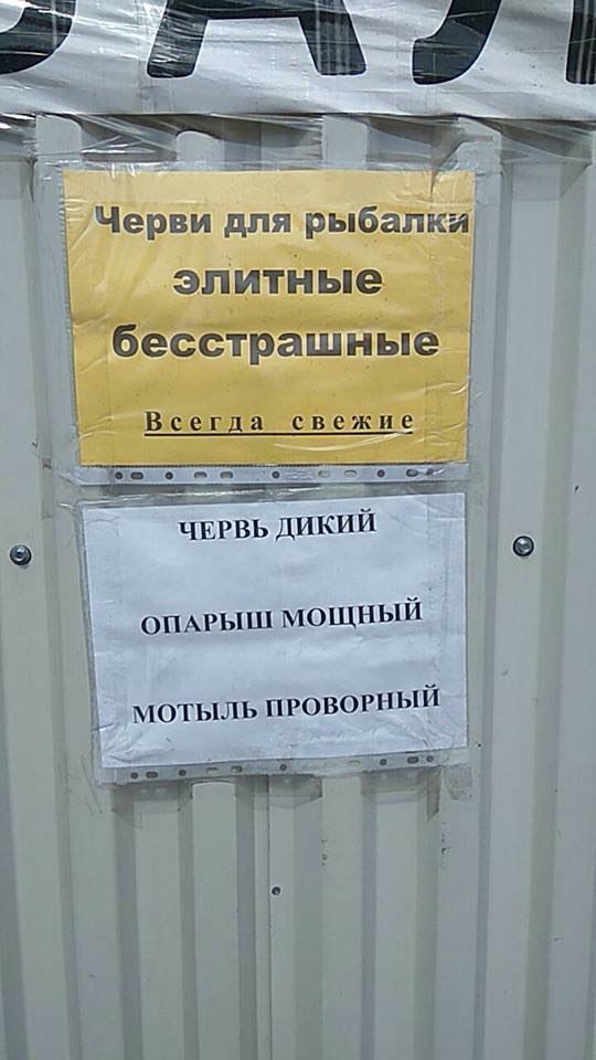 Черви для элитные Всегда свежие feo ЧЕР ДИКИЙ ОПАРЫШ мощный ПРОВОРН 2 i See