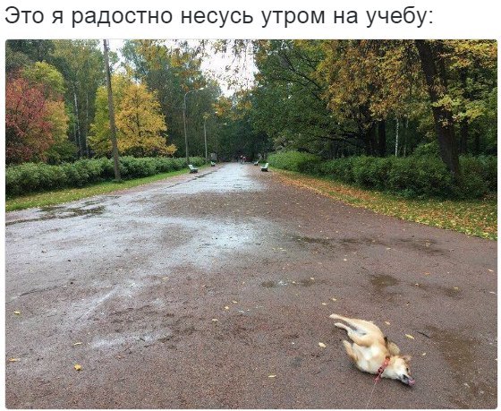 Это я радостно несусь утром на учебу: