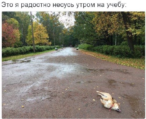 Это я радостно несусь утром на учебу: