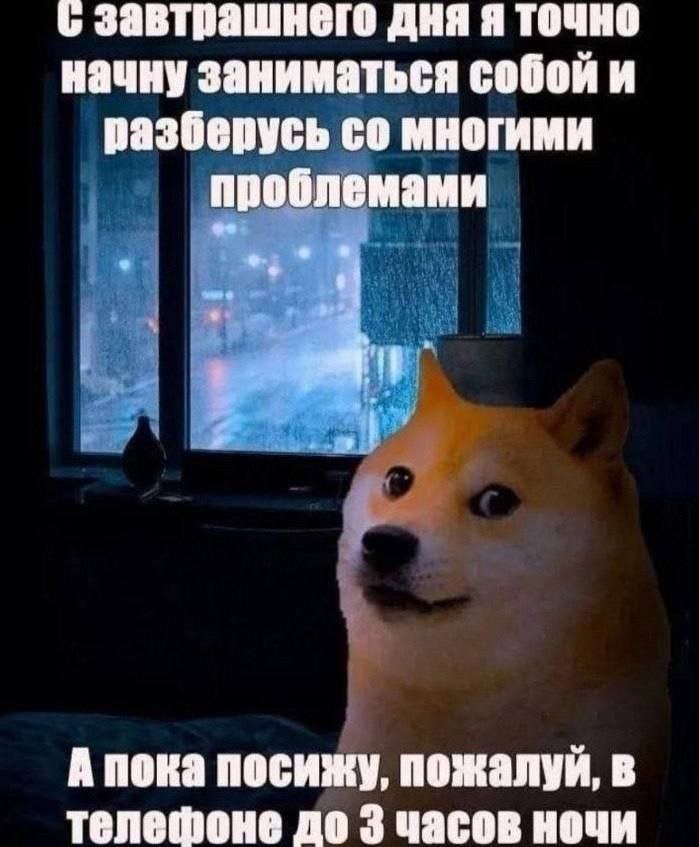 завтрашнего дня я точно начну заниматься собой и разберусь многими проблемами А пока посижу, пожалуй, в телефоне до 3 часов ночи