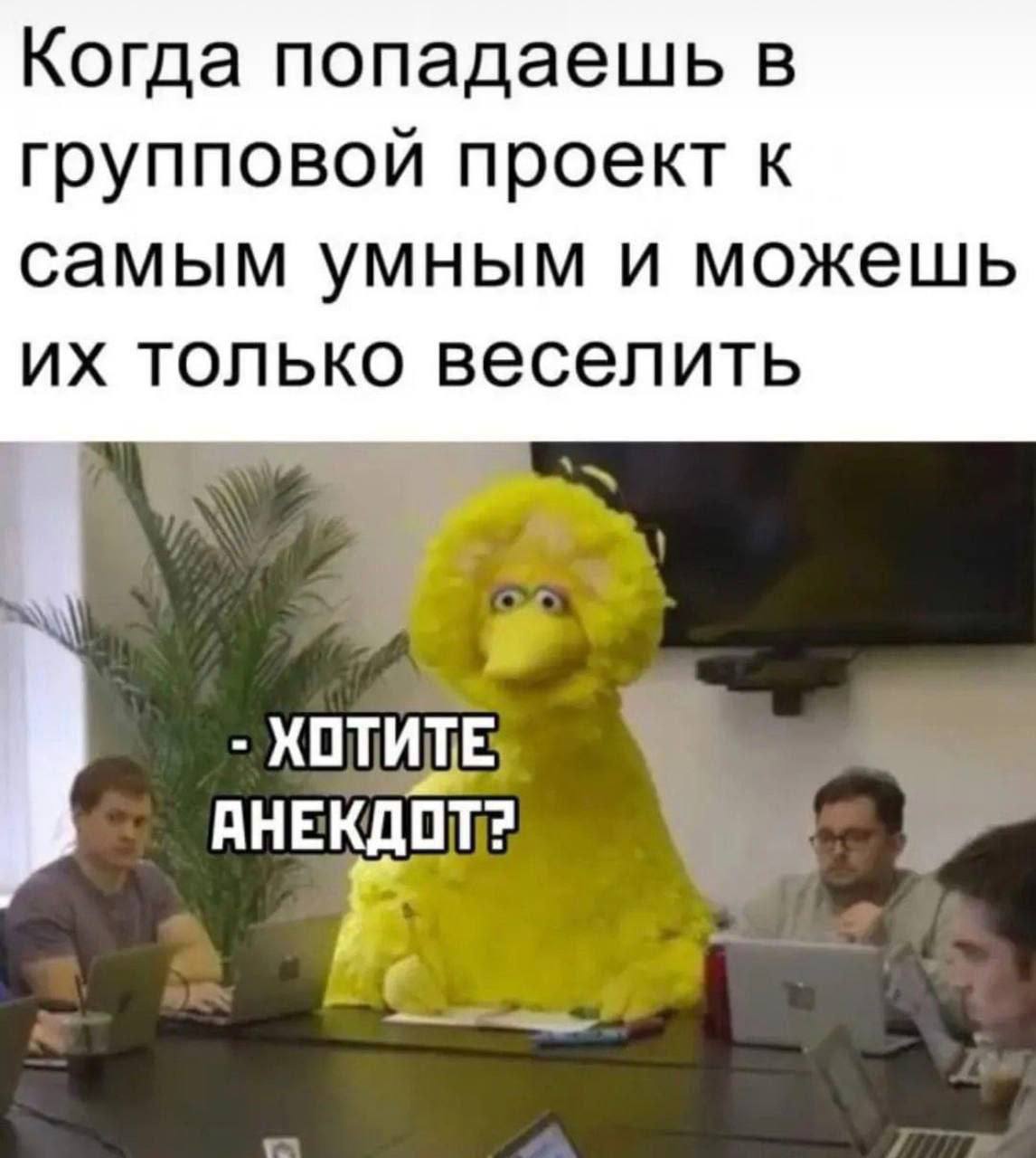 Когда попадаешь в групповой проект к самым умным и можешь только веселить