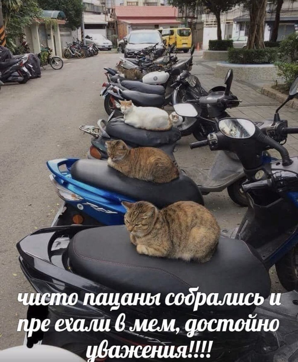 чисто пацаны собрались и пре ехали 6 мем, достойно ибажения!!
