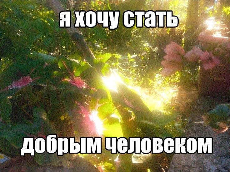 хочу стать добрым