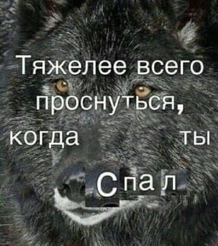 Тяжелее всего проснуться, когда ТЫ Спал