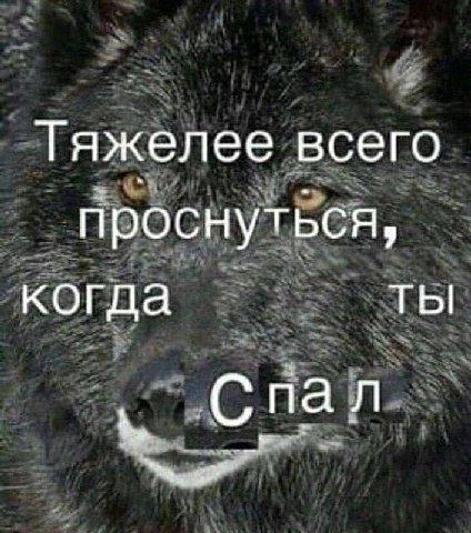 Тяжелее всего проснуться, когда ТЫ Спал