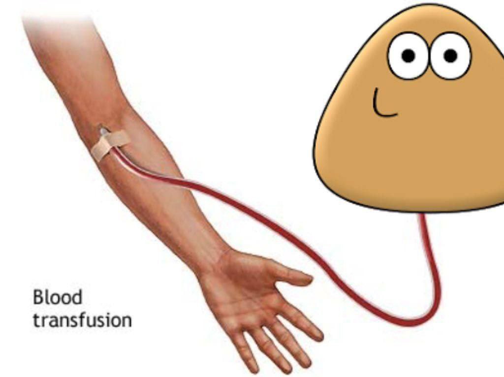 transfusion Blood