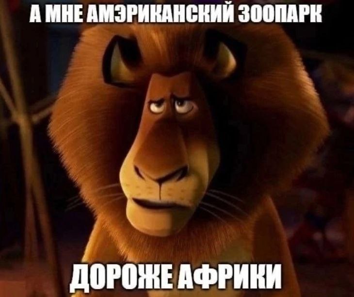 А МНЕАМЭРИКАНСКИЙ ЗООПАРК ДОРОЖЕ АФРИКИ