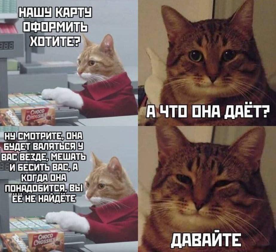 НАШУ КАРТУ ОФОРМИТЬ КОТИТЕ? _АЧТО ОНА ДАЁТ? НУ'СМОТРИТЕ, ОНА ВАС ВЕЗДЕ, МЕШАТЬ БУДЕТ ВАЛЯТЬСЯ И БЕСИТЬ ВАС, А КОГДА ОНА ПОНАДОБИТСЯ, ВЫ НЕ НАЙДЕТЕ ДАВАИТЕ