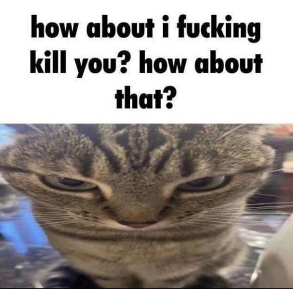 how about i fucking kill you? how about