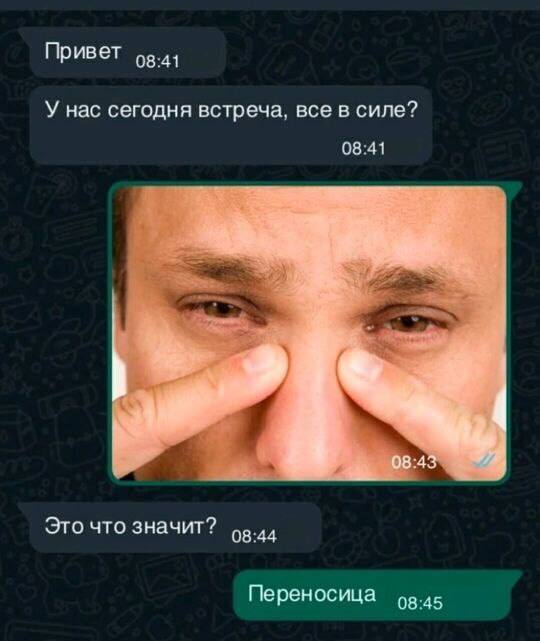 Привет 08:41 У нас сегодня встреча. все в силе? 08:41 4 08:43 Это что значит? 08:44 Переносица