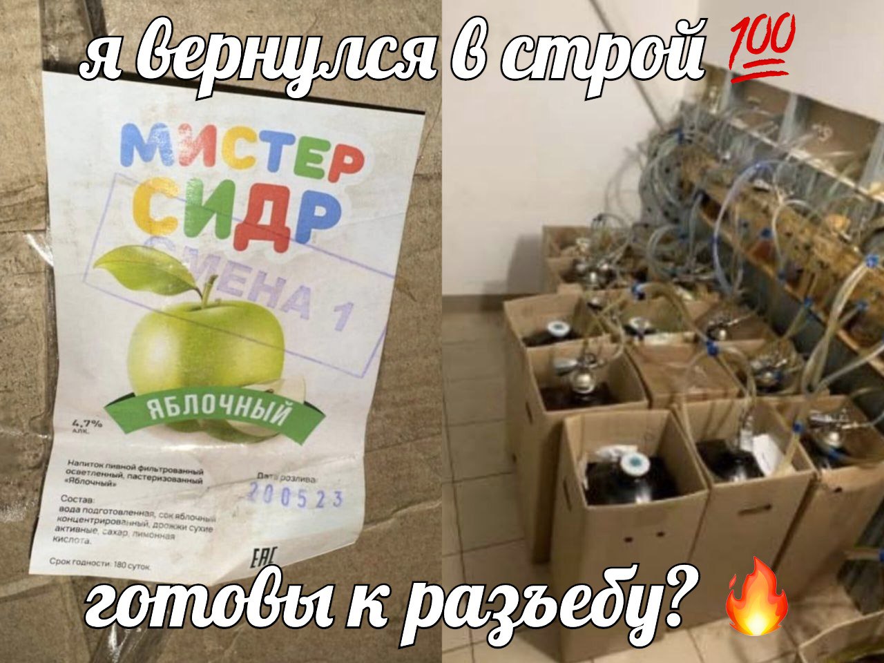 вернулся готобы к pazoedy?
