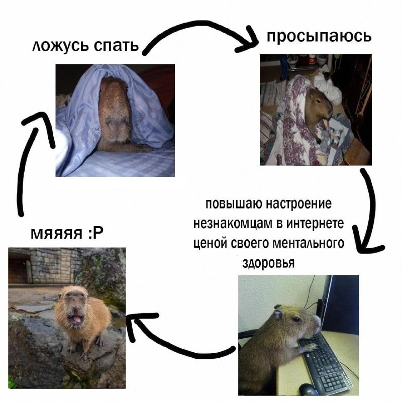 ложусь спать повышаю настроение незнакомцам в интернете мяяяя ценой своего ментального здоровья