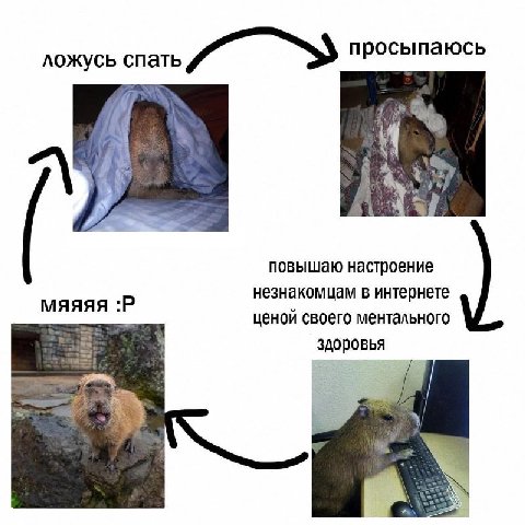 ложусь спать повышаю настроение незнакомцам в интернете мяяяя ценой своего ментального здоровья