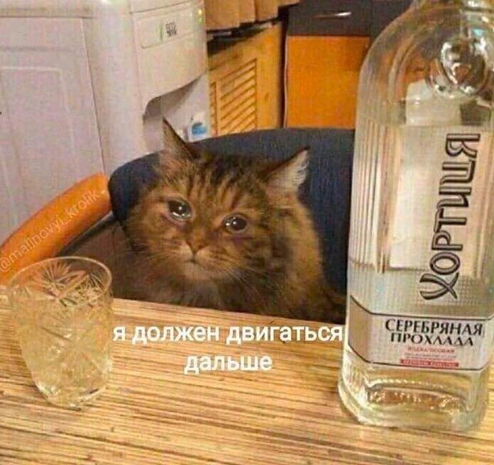 A я должен двигаться