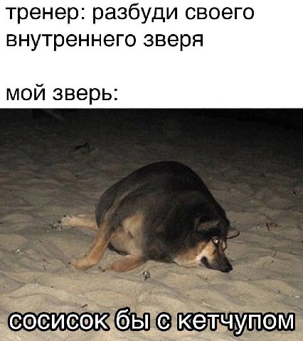 тренер: разбуди своего внутреннего зверя мой зверь: 4 COK