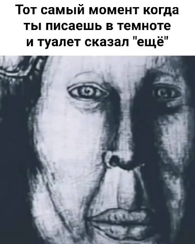 Тот самый момент когда ты писаешь в темноте и туалет сказал "ещё"