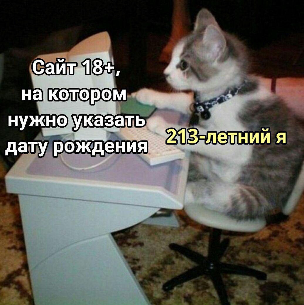 на котором нужно указать дату рождения я