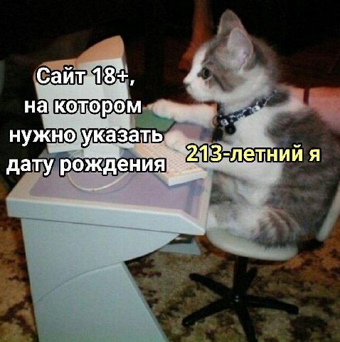 на котором нужно указать дату рождения я