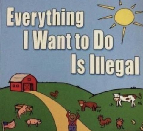 Everything