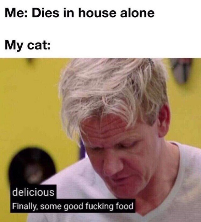 Me: Dies house alone My cat: у у delicious Finally, some good fucking food 2