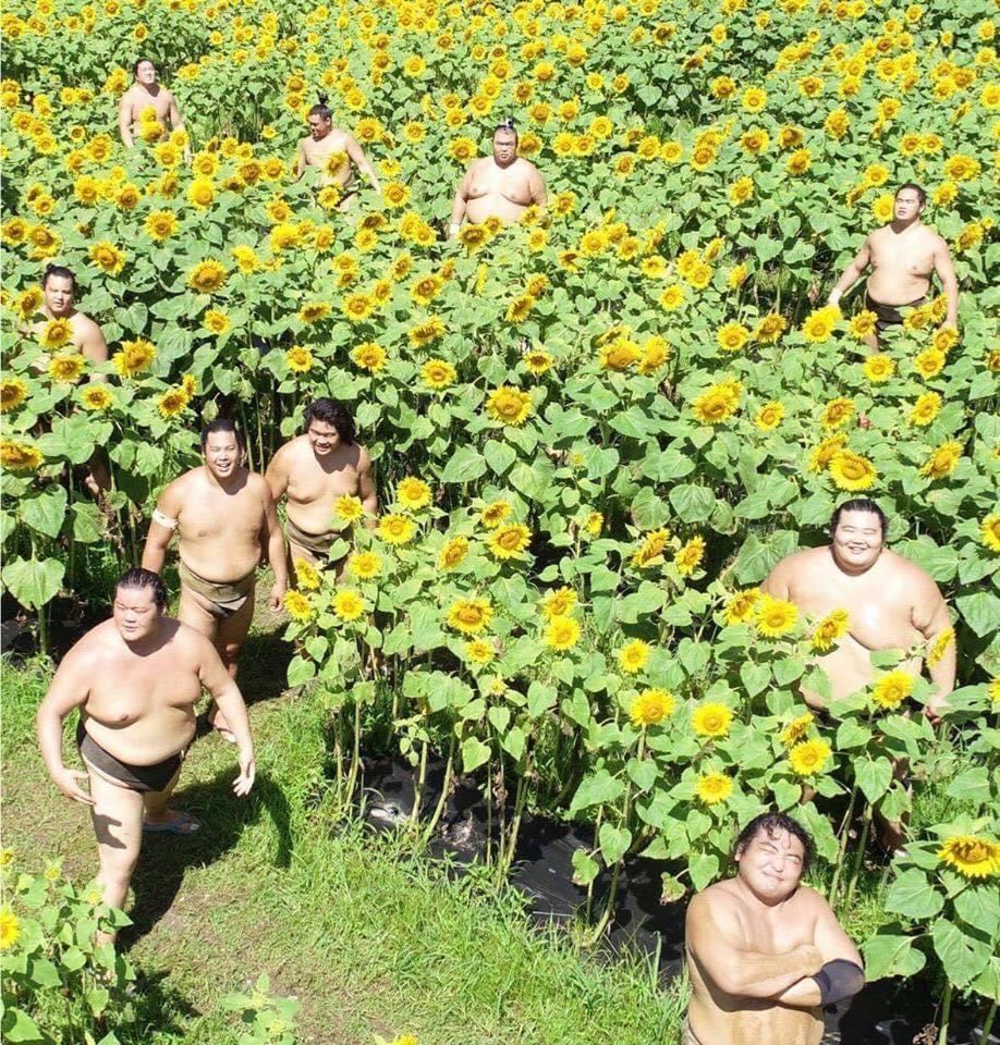 да почему я не могу к ним присоединиться