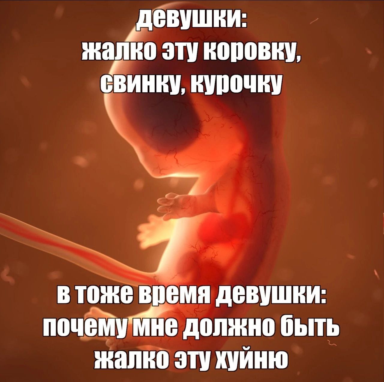 „ДЕВУШКИ: эту коровку, свинку, втоже время девушки: почему Мне должно быть жалко эту хуйню