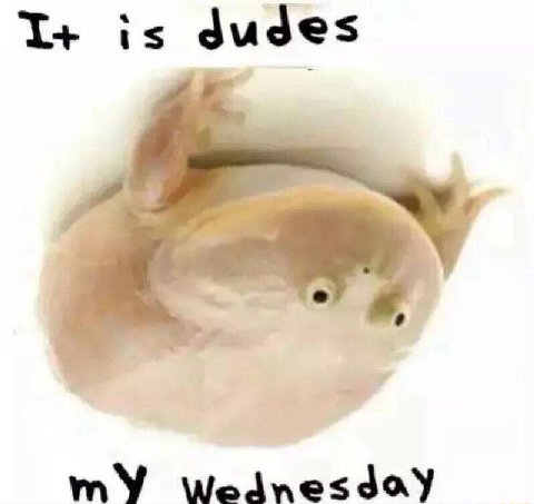I+ is dudes mY