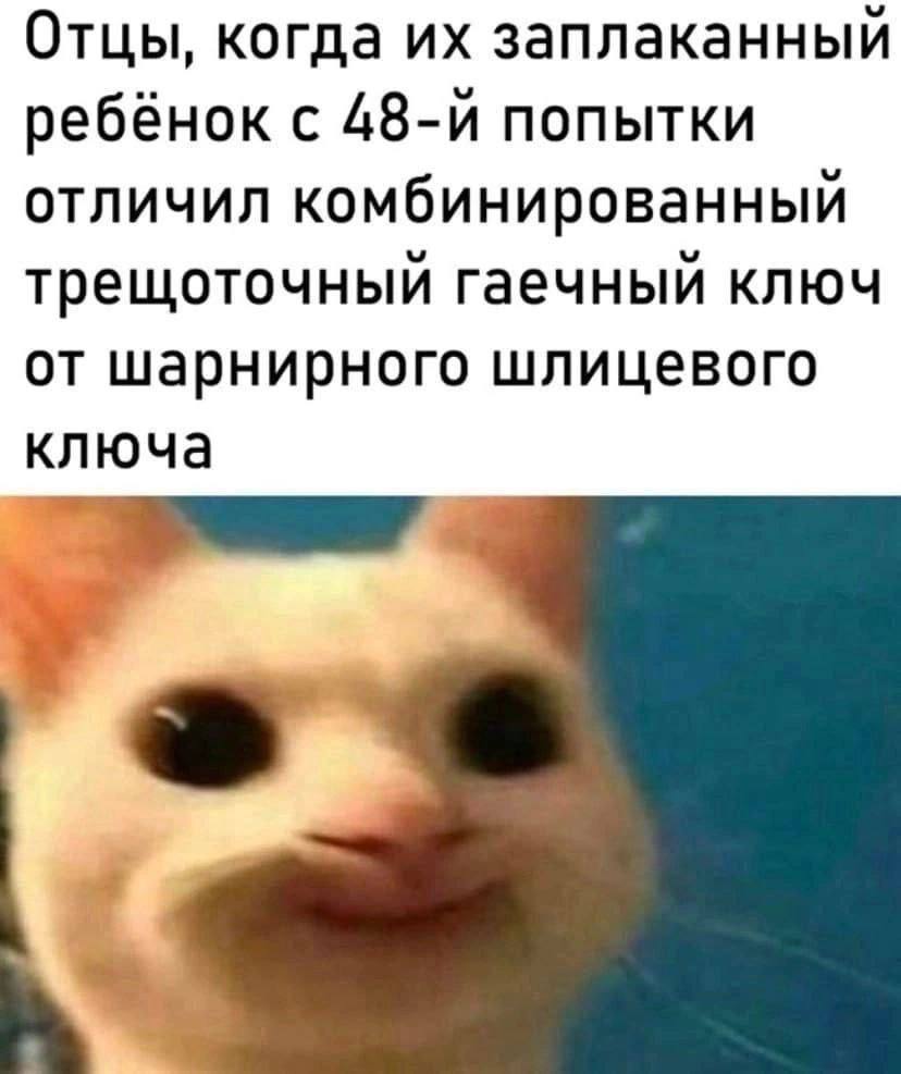 Отцы, когда заплаканный ребёнок с 48-и попытки отличил комбинированный трещоточный гаечный ключ от шарнирного шлицевого ключа