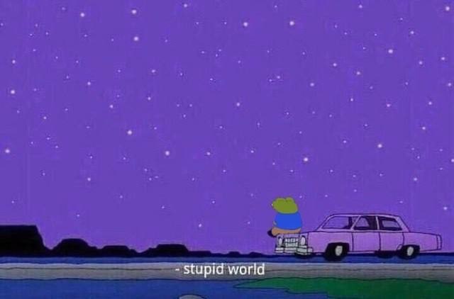 Stupid world