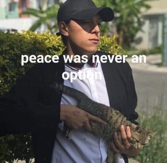 peace was ever an О