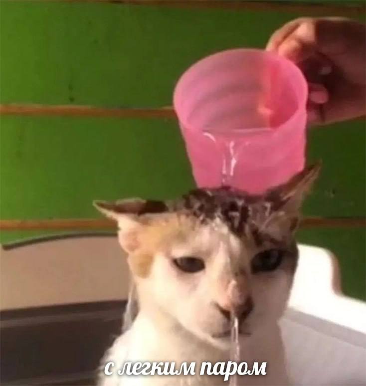 паром