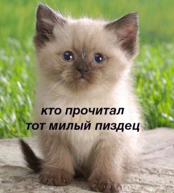 2% прочитал TOT милый пиздец. 4