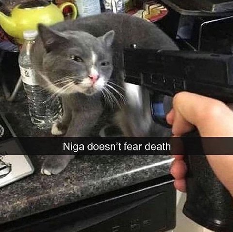 Niga doesn't fear death