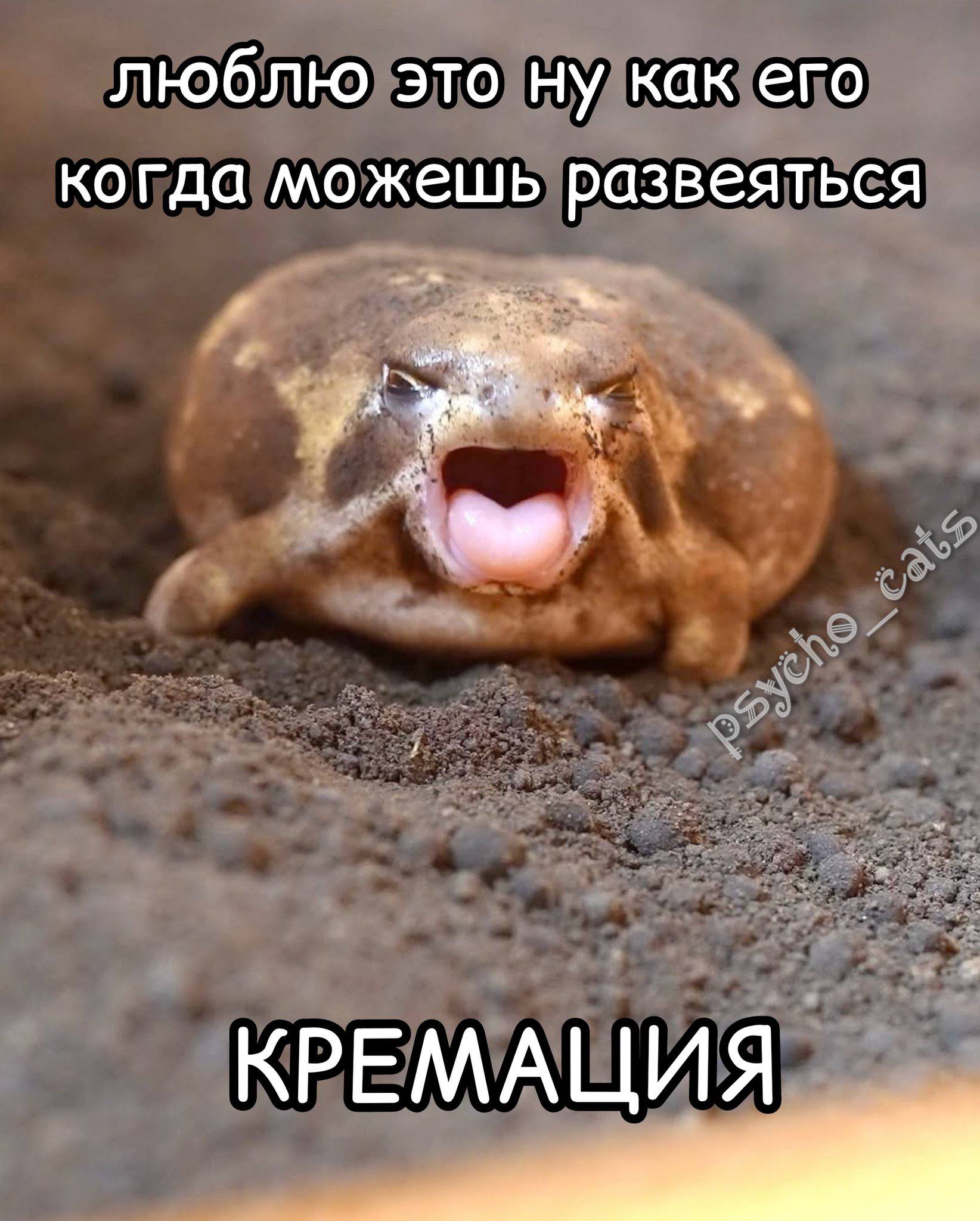 люблю это ну как его когда можешь развеяться КРЕМАЦИЯ