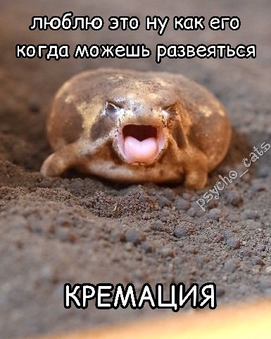 люблю это ну как его когда можешь развеяться КРЕМАЦИЯ