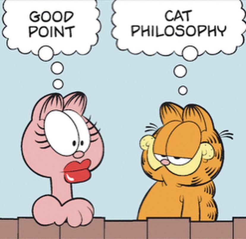 GOOD CAT 7 POINT PHILOSOPHY