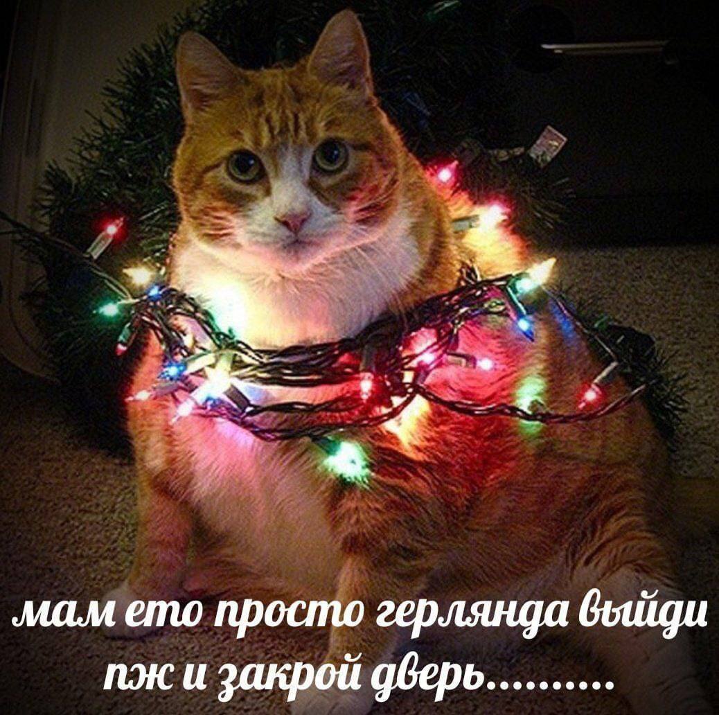 4, aS мам emo просто герлянда и закрой дверь