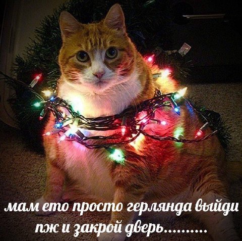 4, aS мам emo просто герлянда и закрой дверь