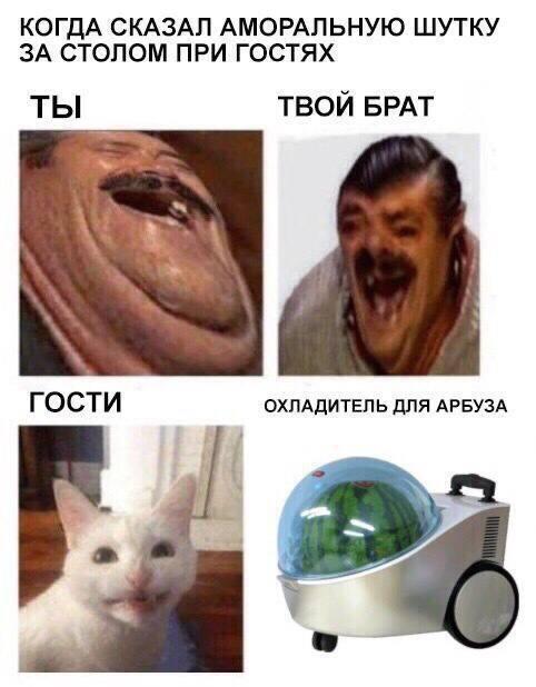 КОГДА СКАЗАЛ АМОРАЛЬНУЮ ШУТКУ ЗА СТОЛОМ ПРИ ГОСТЯХ ТЫ ТВОЙ БРАТ ГОСТИ ОХЛАДИТЕЛЬ ДЛЯ АРБУЗА