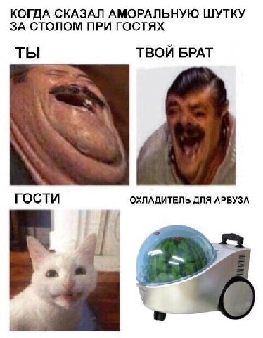 КОГДА СКАЗАЛ АМОРАЛЬНУЮ ШУТКУ ЗА СТОЛОМ ПРИ ГОСТЯХ ТЫ ТВОЙ БРАТ ГОСТИ ОХЛАДИТЕЛЬ ДЛЯ АРБУЗА
