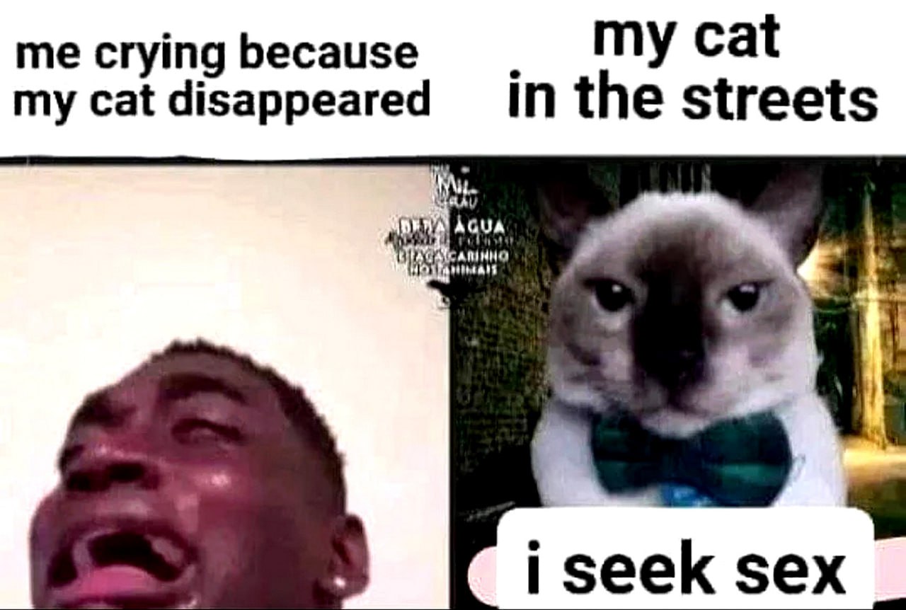 сгутд Бесаизе my IN the streets i seek sex