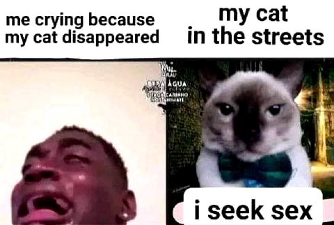 сгутд Бесаизе my IN the streets i seek sex