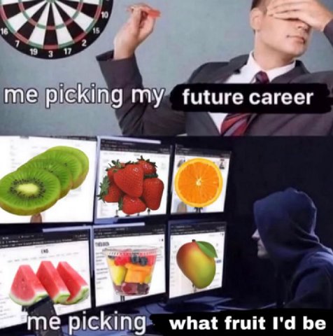 future career me picking my what fruit be