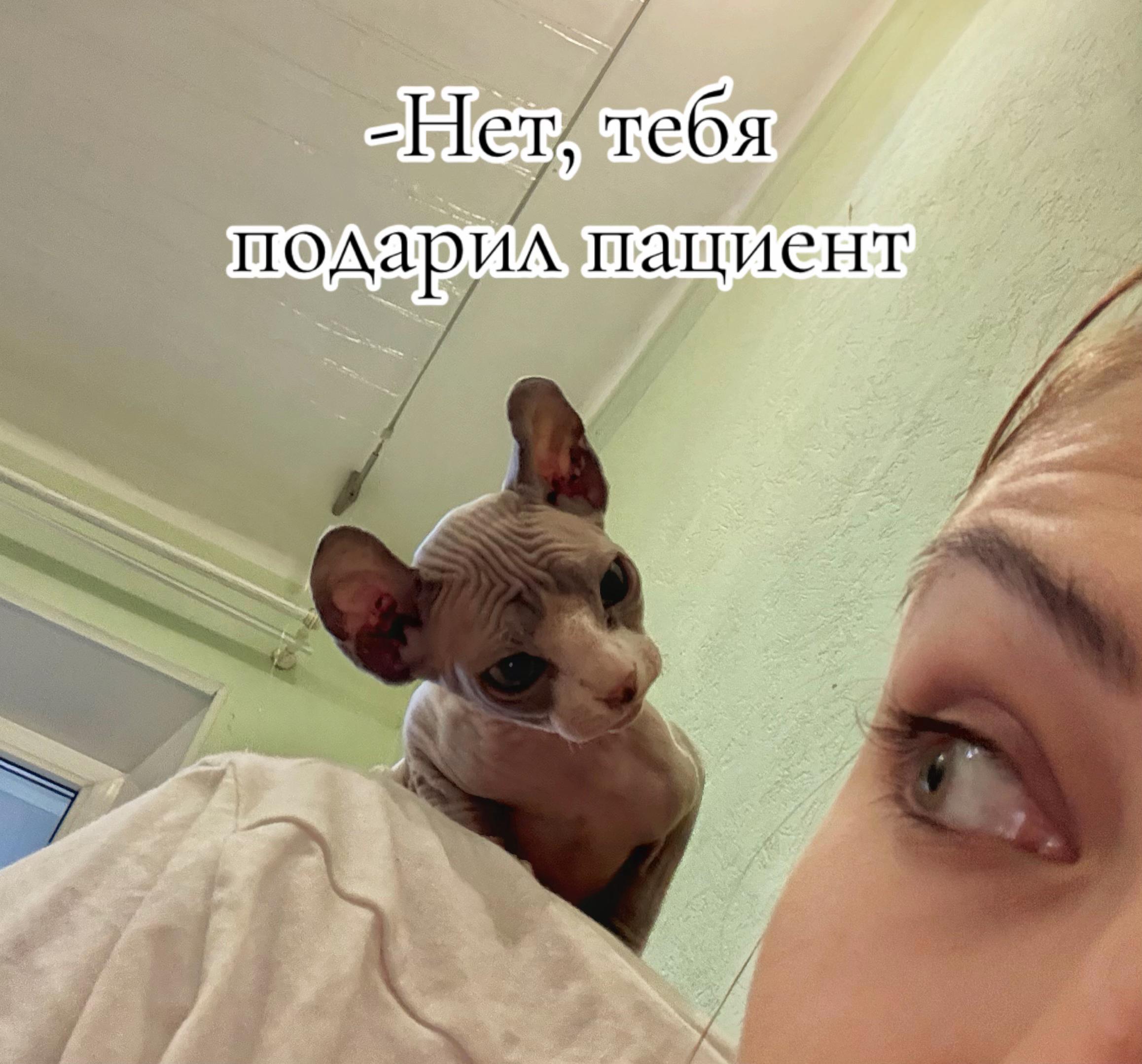 6 тебя 4
